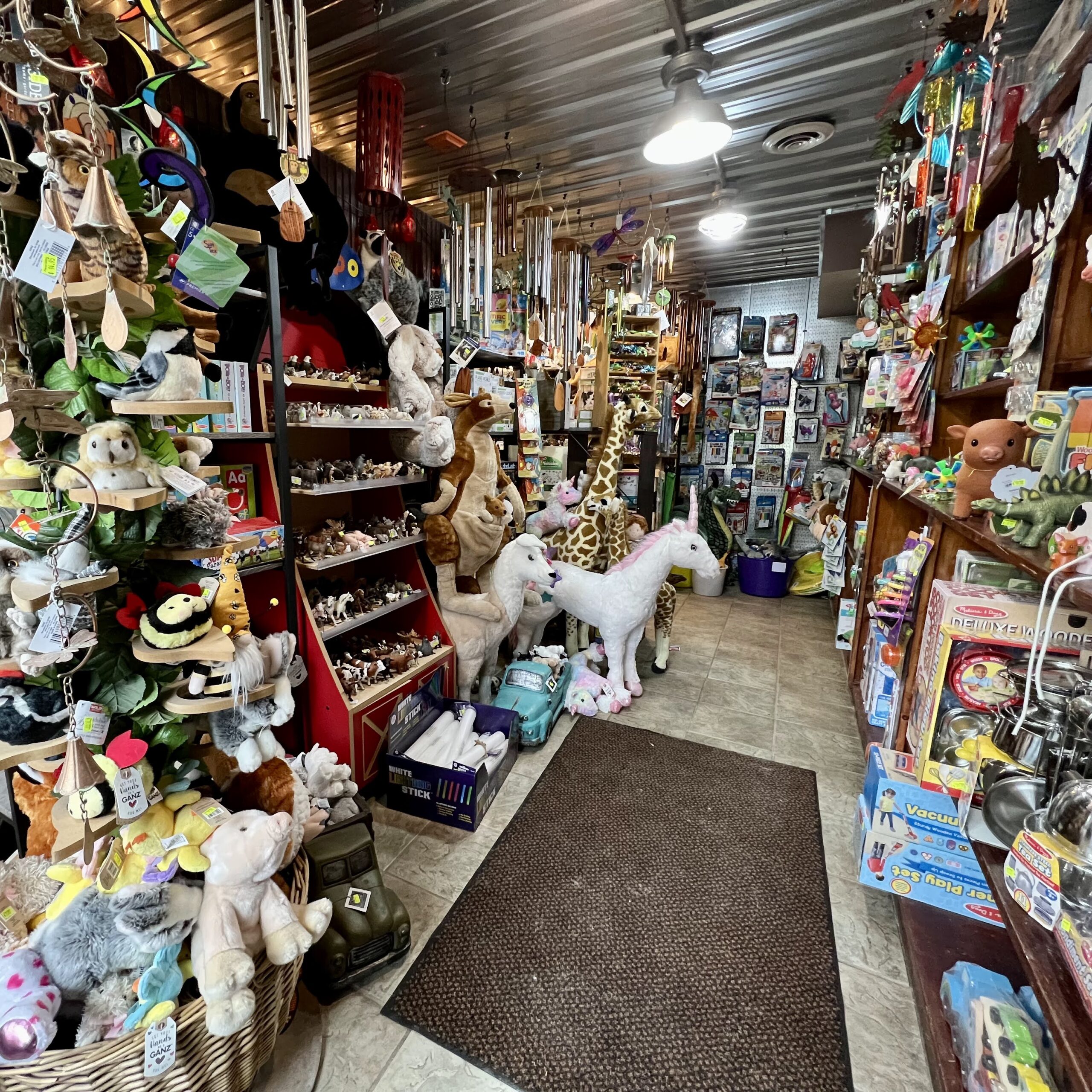 toy section