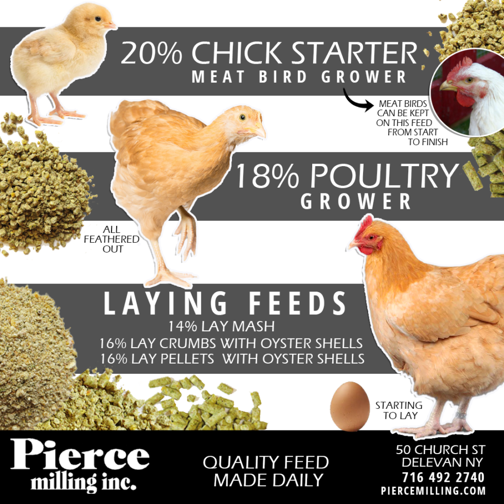 Poultry Feed Scratch Grain Chick Starter Pierce Milling Inc 